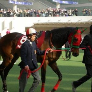 フィリーズレビューのマイネレーツェル号パドック