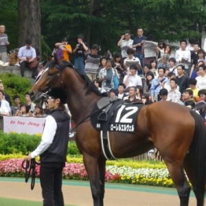 ０８，６，８　若鮎賞パドック