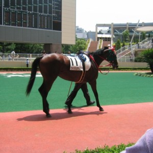 小倉デビュー戦