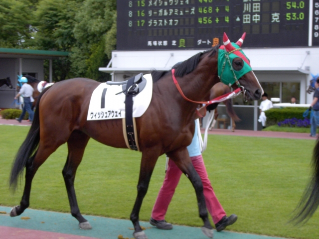 ６／１５中京６Ｒ３歳５００万下 ウィッシュアウェイ