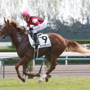 ２歳５００万下