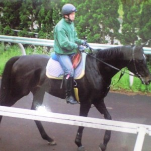 ターファイトクラブより20.5.29