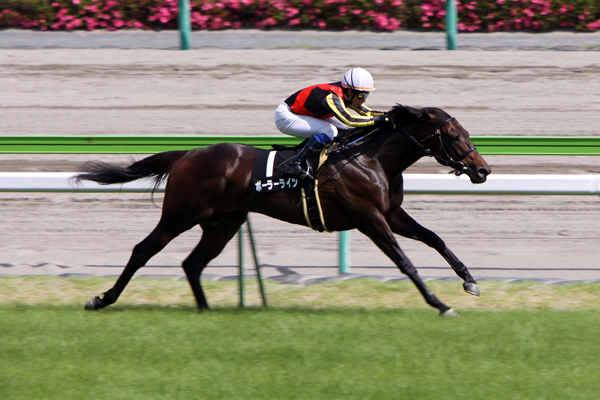 小牧特別　レース ポーラーライツ