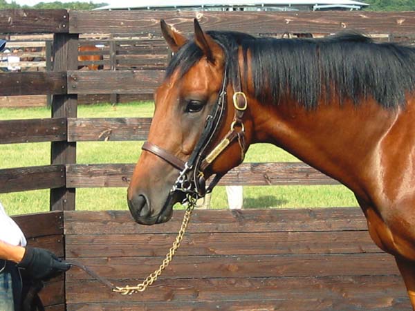 サーチリザルト サーチリザルト