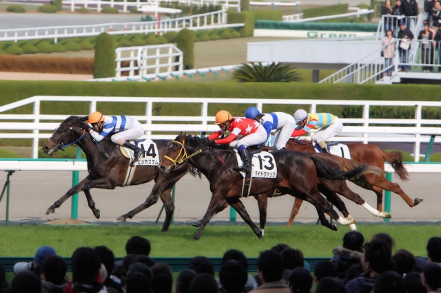 2007/12/02 阪神６Ｒ ２歳新馬 タイドヴァック