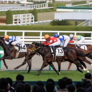 2007/12/02 阪神６Ｒ ２歳新馬
