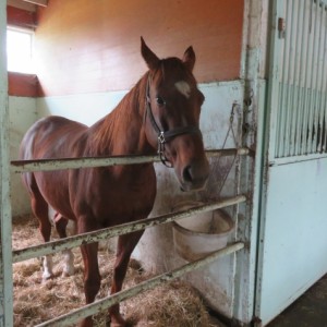 2017秋の日帰りツアー①