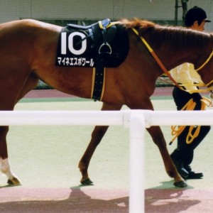 心斎橋ステークス２着バドック