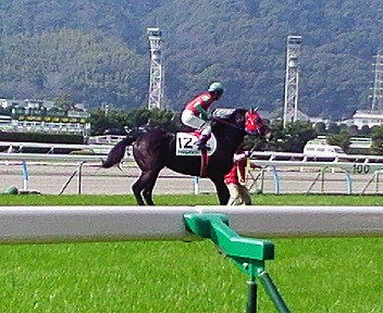 2009/02/08小倉4歳上500万下本馬場入場 マイネルレギメント