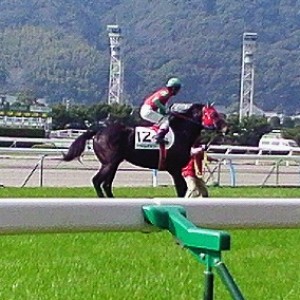 2009/02/08小倉4歳上500万下本馬場入場