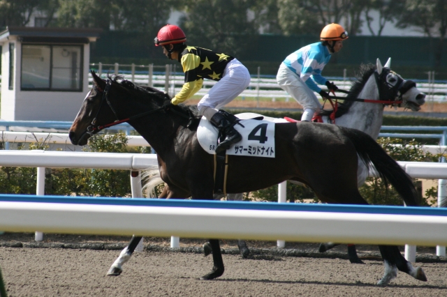 ２００９年２月２１日小倉５Ｒ サマーミッドナイト