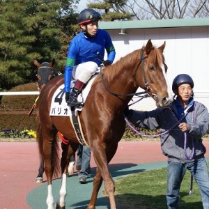 中京にて（２／１４）②