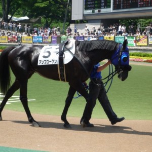 ２回 東京 ６日 ６Ｒパドック