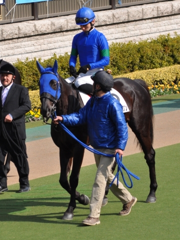 2012.02.05東京4R障害未勝利戦　パドック アンブロークン