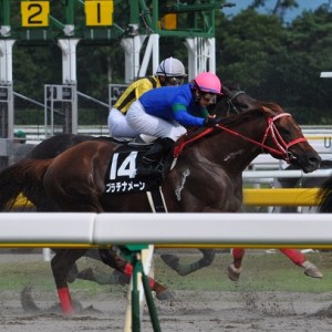 2010.7.17新潟11R柳都S　直線