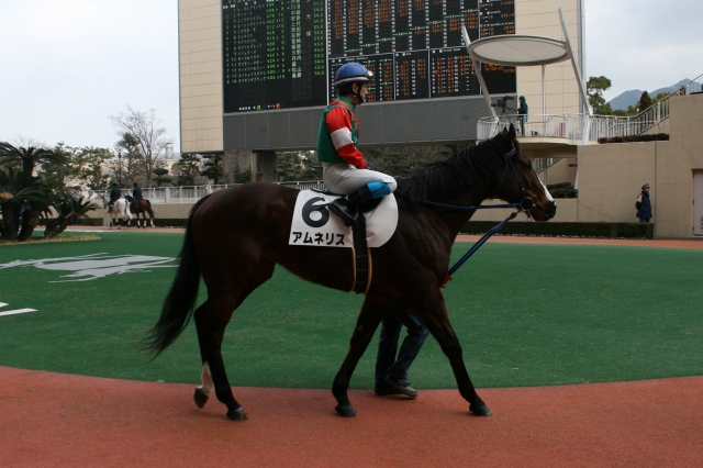 1/29　小倉5R　牝馬・500万下　ダート1000ｍ アムネリス