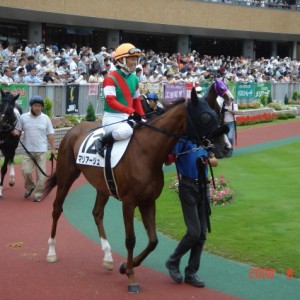 三歳未勝利