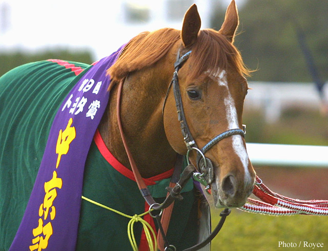 2001.3.4　中京記念（G3) ロードクロノス