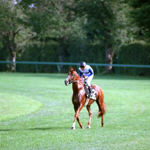 ニューマーケットＣ