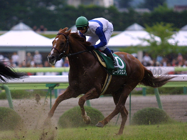 七夕賞 ロードクロノス