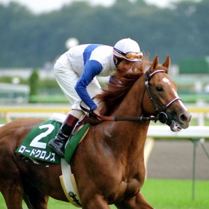 富士ステークス 