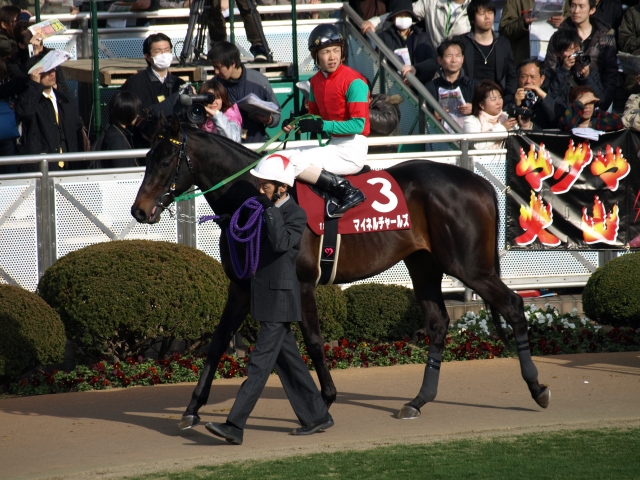 報知杯弥生賞　パドック マイネルチャールズ