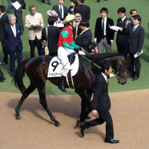 日本ダービー　パドック