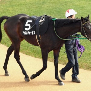 ホープフルステークス　パドック