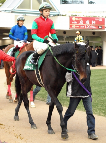 京成杯　パドック マイネルチャールズ