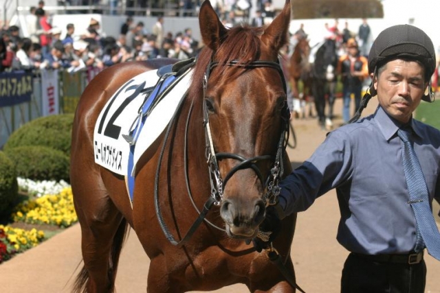 2008/03/15/2回中山5日3歳500万下 ロールオブザダイス