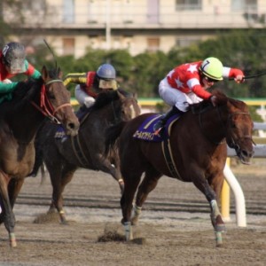 ダイオライト記念