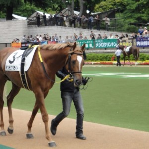 05/29 東京8R サラ系4歳以上500万下