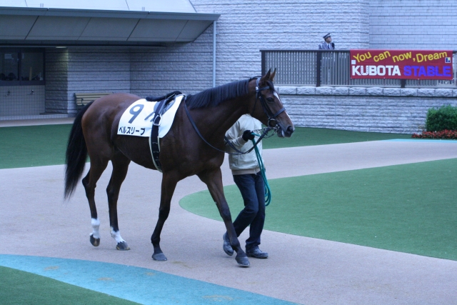 東京７Ｒ（５００万下）パドック ベルスリーブ