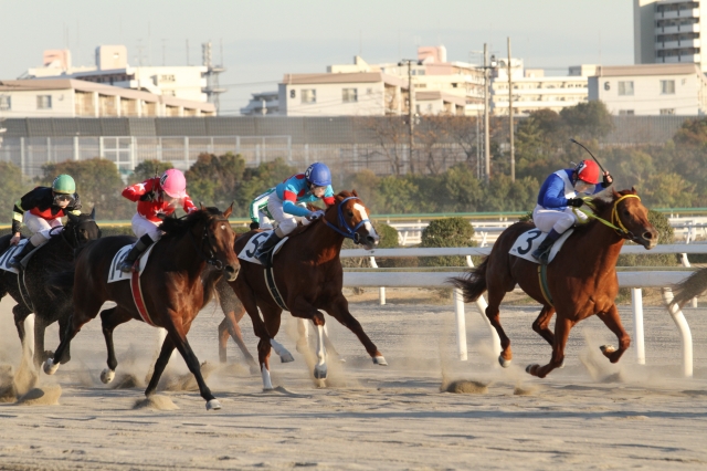 船橋競馬交流戦　フレンドリーブーツ特別 シルクペガサス