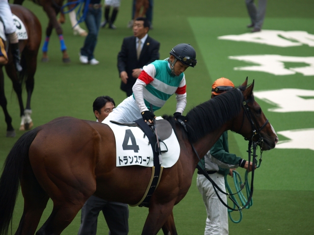 6/7 東京2R　3歳未勝利 トランスワープ