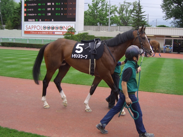 ライラック賞（札幌競馬場） トランスワープ