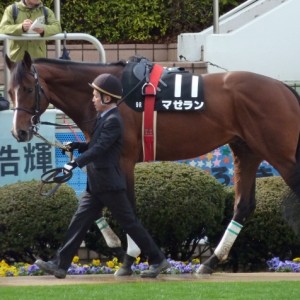 潮来特別パドックⅢ