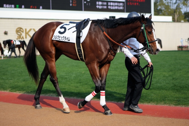 2008/01/05 京都４Ｒ ３歳500万下 シルクビッグタイム