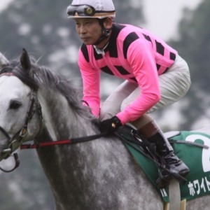 中京記念返し馬