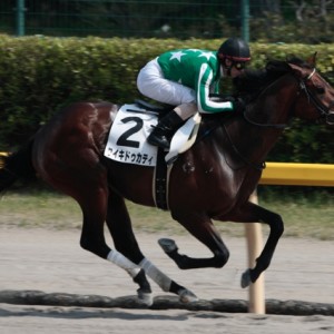 新潟４歳以上５００万下ダ１２００ｍ優勝時