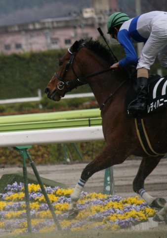 2010.04.10　福島１１R　ゴール手前 レディハニー