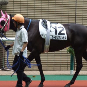 08/07/12福島1Rﾊﾟﾄﾞｯｸ